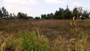 Commercial Lands on Sale