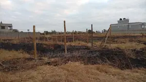 50by100 Plot Kamulu