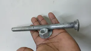 Guardrail Long Bolts