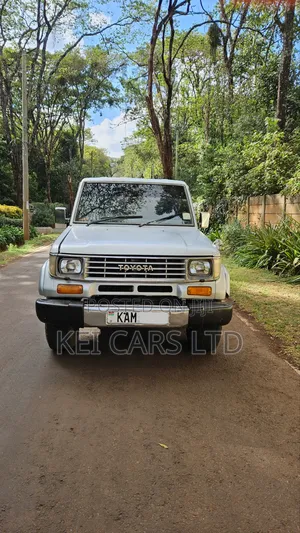 Toyota Land Cruiser 70 1993 Silver