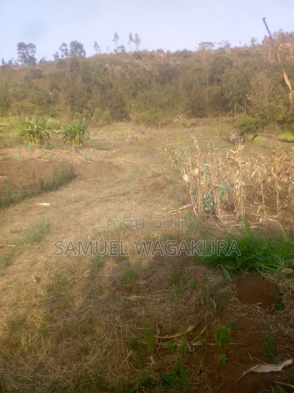 50*100 Plot for Sale