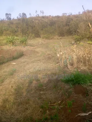 50*100 Plot for Sale