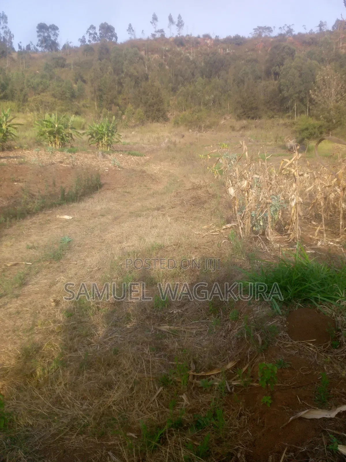 50*100 Plot for Sale