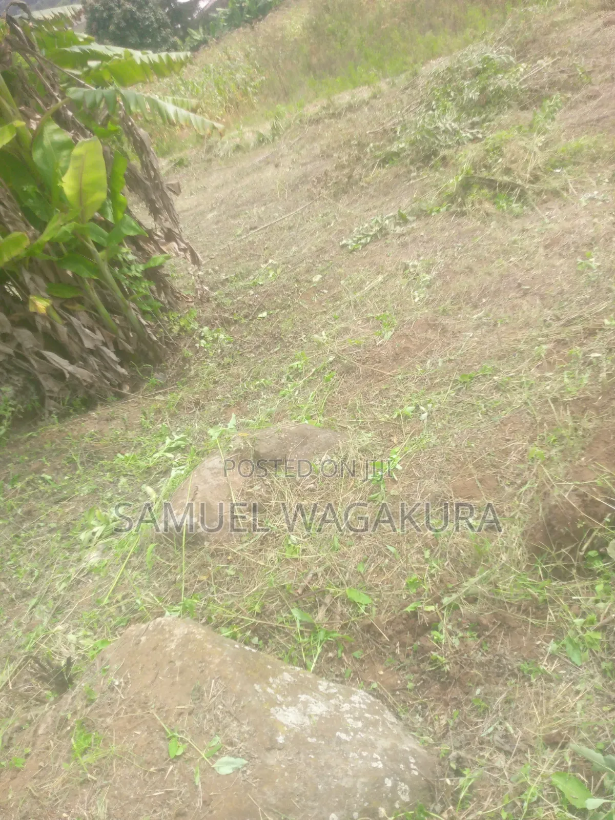 50*100 Plot for Sale