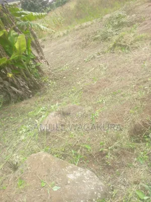 50*100 Plot for Sale