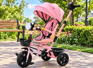 Kids Pink Tricycle With Canopy and Push Handle