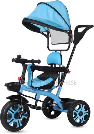 Canopied Tricycle With Handle Best Priced for Toddlers