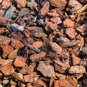 Pine Barks Potting Mix