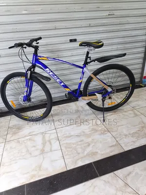 Reset Adult Mountain Bike Size 29