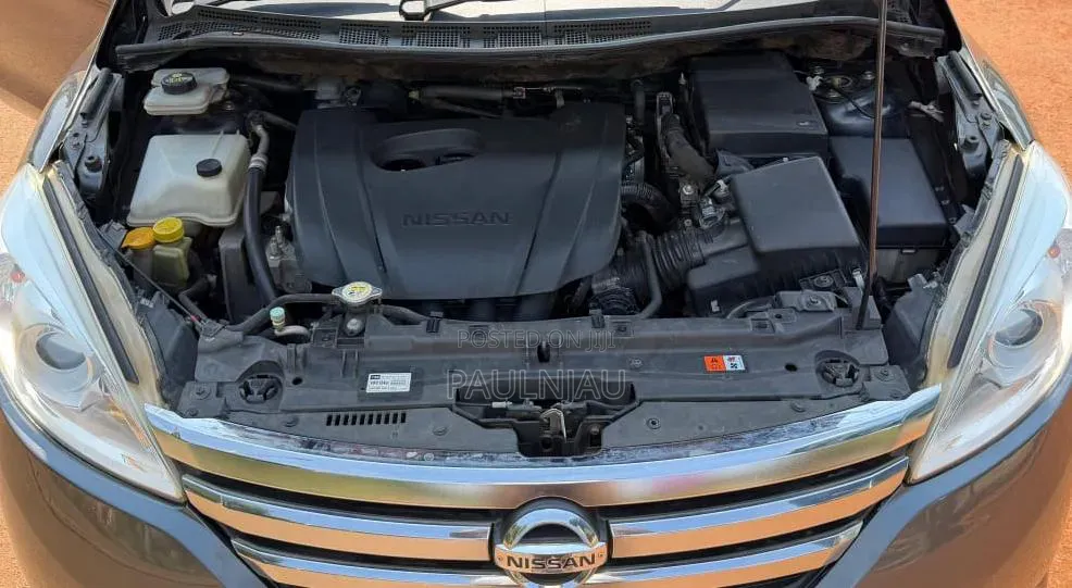 Nissan Dualis 2010