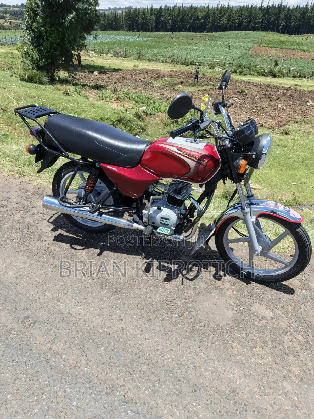 Bajaj Boxer 100 2025 Red
