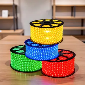 Durable Construction 50Meter Outdoor Snake Light With Connector