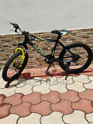 Raleigh Kids Mountain Bike, 24-Inch Wheels, 7-Speed, Front Suspension