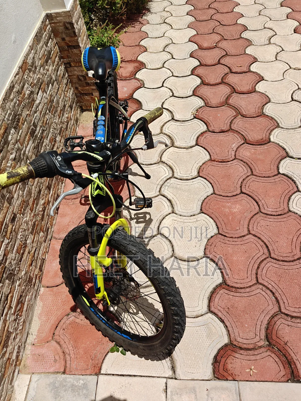 Raleigh Kids Mountain Bike, 24-Inch Wheels, 7-Speed, Front Suspension