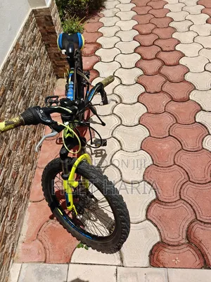 Raleigh Kids Mountain Bike, 24-Inch Wheels, 7-Speed, Front Suspension