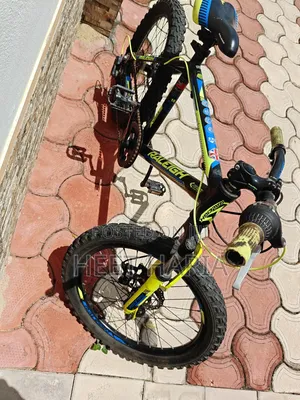 Raleigh Kids Mountain Bike, 24-Inch Wheels, 7-Speed, Front Suspension
