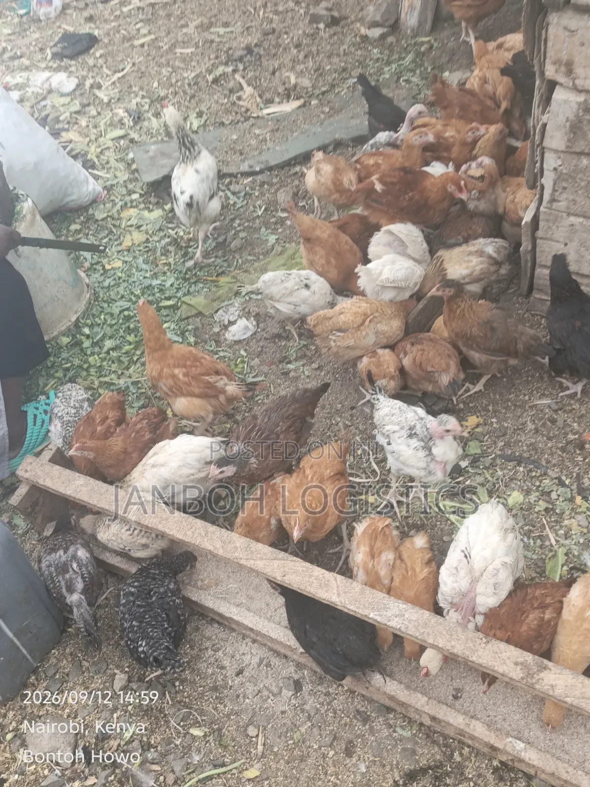 Farmers Chicken