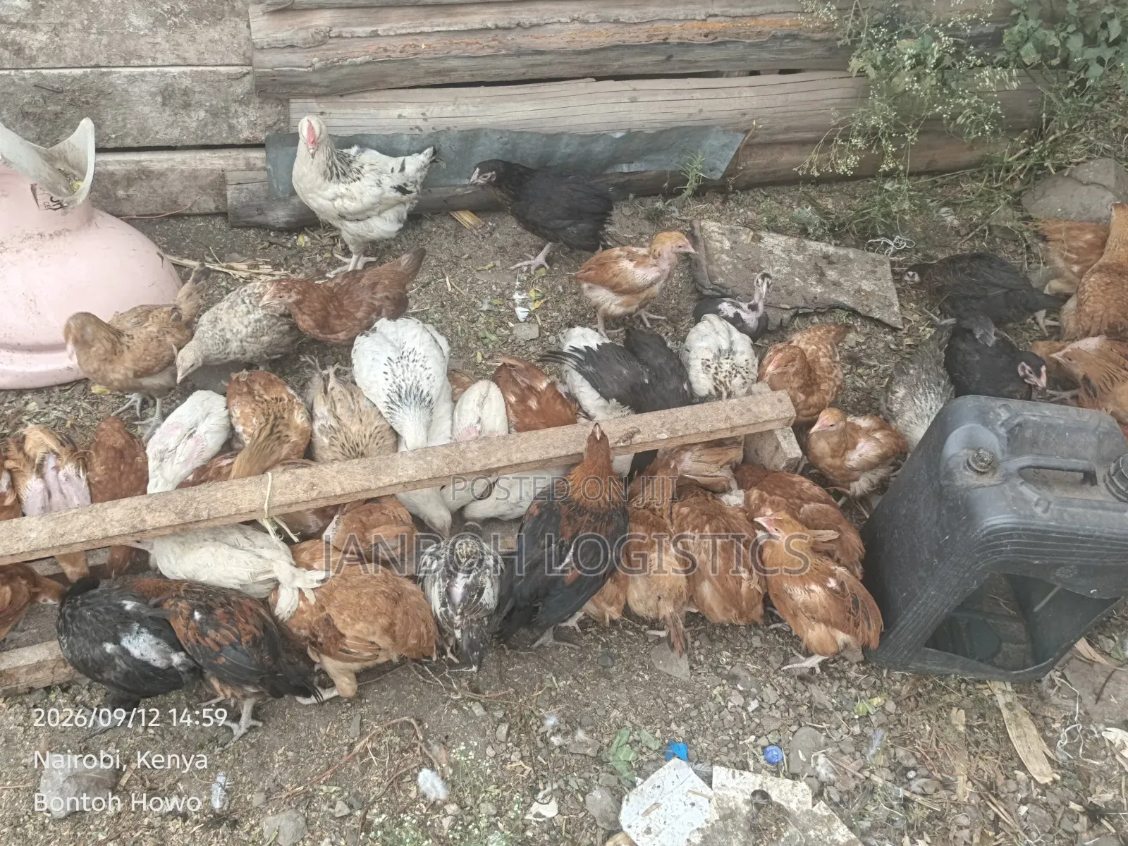 Farmers Chicken