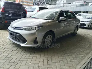 Toyota Axio 2019 Silver