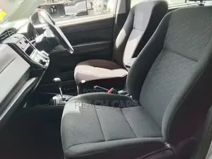 Toyota Axio 2019 Silver