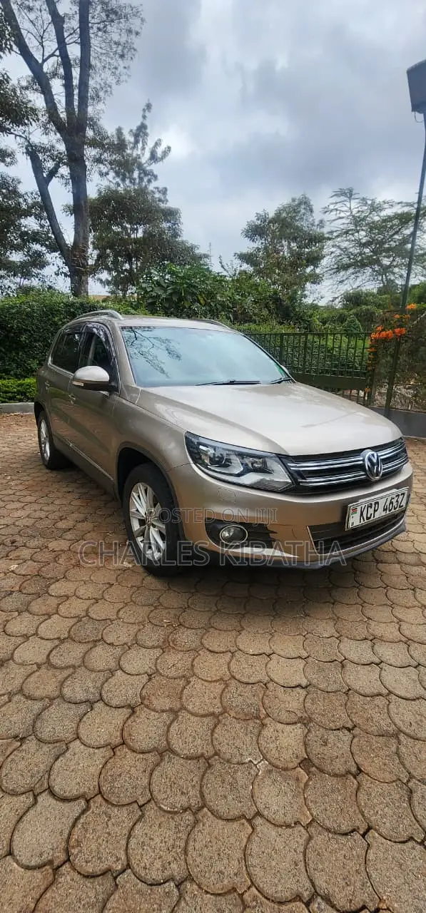 Volkswagen Tiguan 2012 Gold