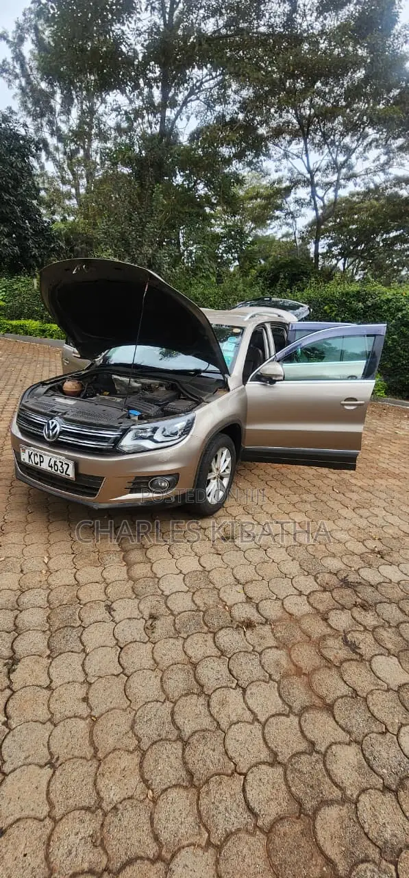 Volkswagen Tiguan 2012 Gold