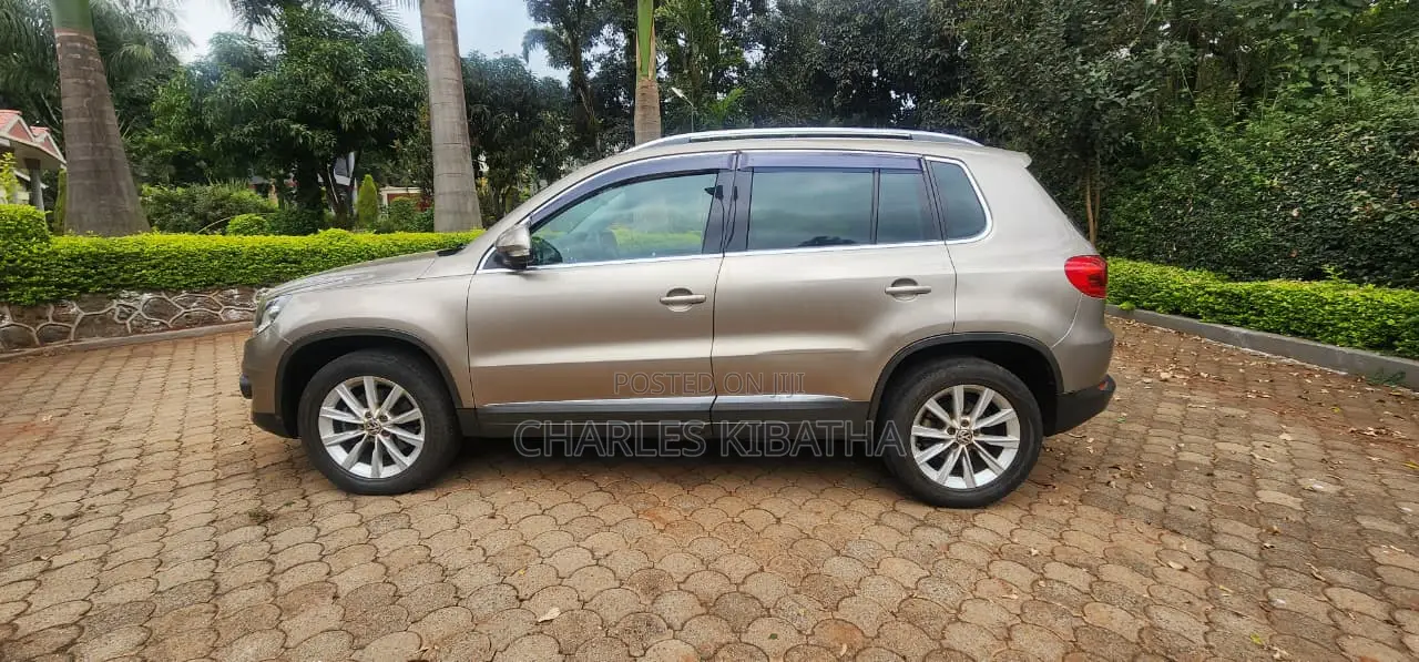 Volkswagen Tiguan 2012 Gold