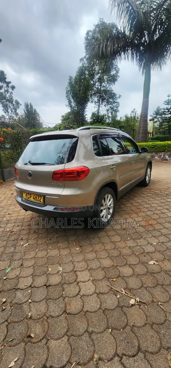 Volkswagen Tiguan 2012 Gold