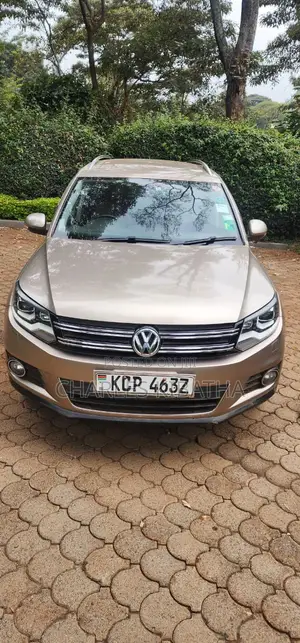 Volkswagen Tiguan 2012 Gold