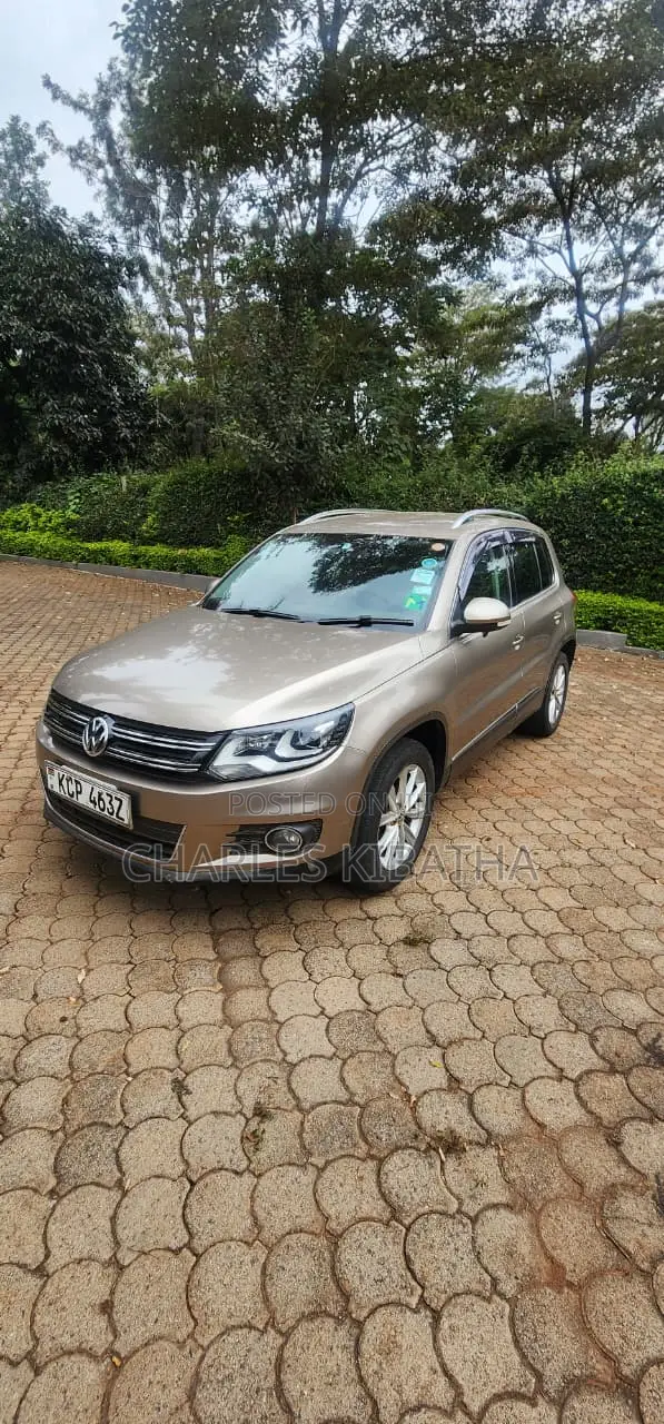 Volkswagen Tiguan 2012 Gold