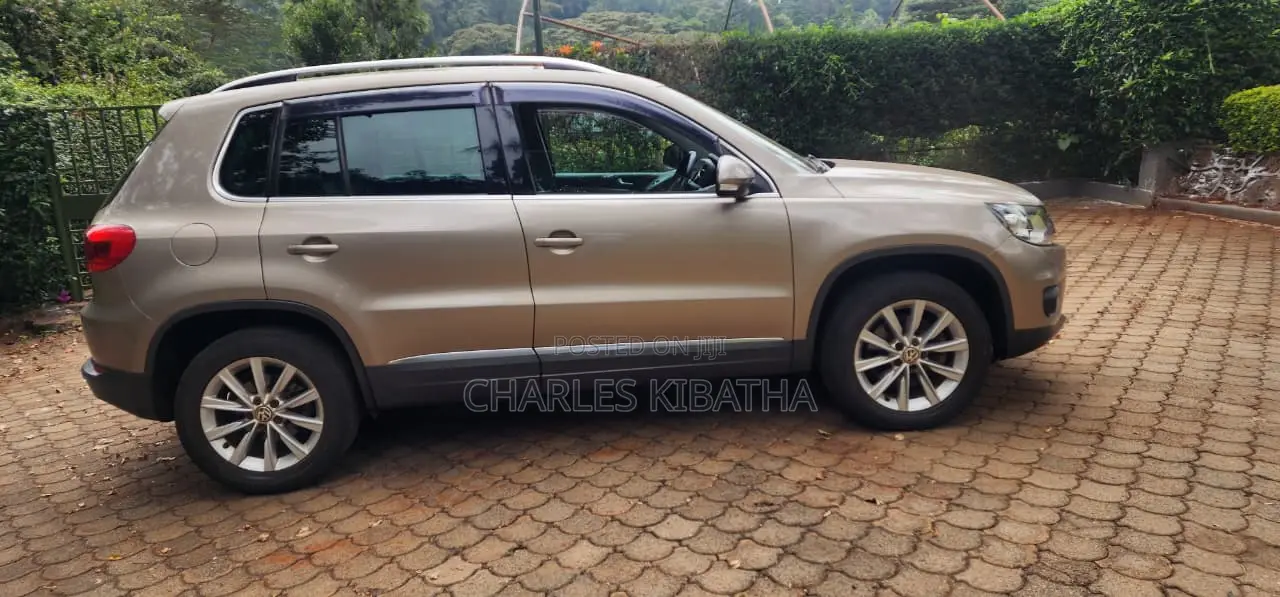 Volkswagen Tiguan 2012 Gold