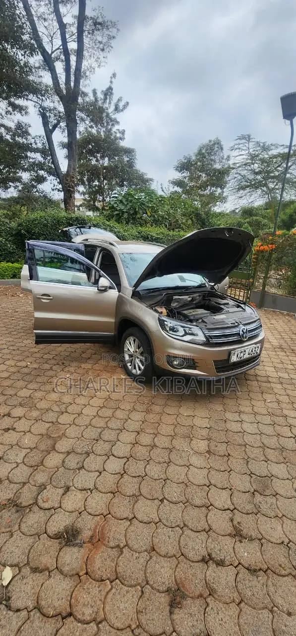 Volkswagen Tiguan 2012 Gold