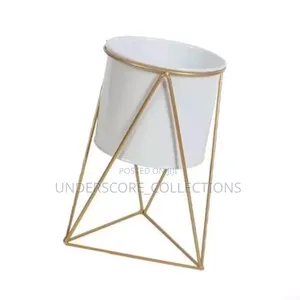 Plant Display Holder