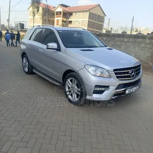 Mercedes-Benz M Class ML350 4dr SUV (3.5L 6cyl 7A) 2014 Silver