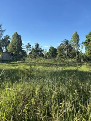 Land for Sale in Diani