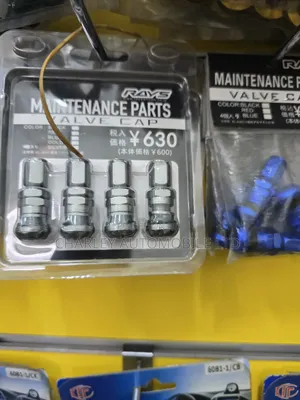 Aftermarket Tyre Valve Kit Coloured Option
