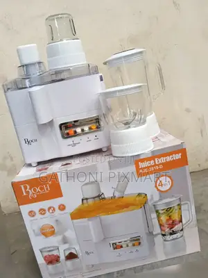 Roch 4-in-1 Juicer Blender Grinder Mill Food Processor