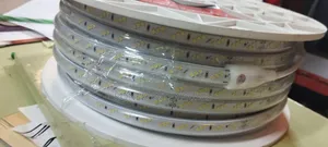 Triple Warm Snake Lights