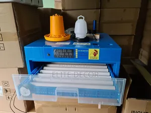Ecochicks 64-Egg Automatic Digital Incubator – AC/Dc Solar Ready