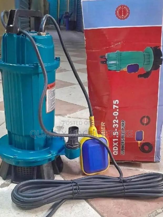 Powerful 2hp Premier Shallow Well Electric Submersible Pump