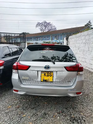 Toyota Corolla Fielder 2017 Gray