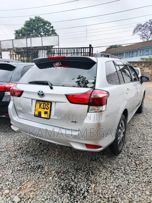 Toyota Corolla Fielder 2017 Gray