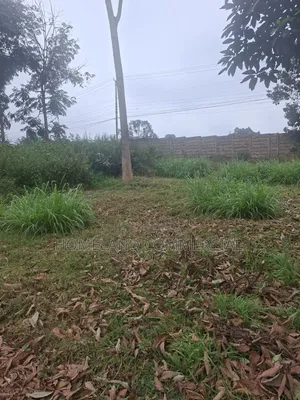 1.5 Acres for Lease. Touching Waiyaki Way
