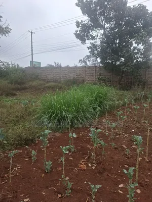 1.5 Acres for Lease. Touching Waiyaki Way