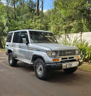 Toyota Land Cruiser 1993 Silver