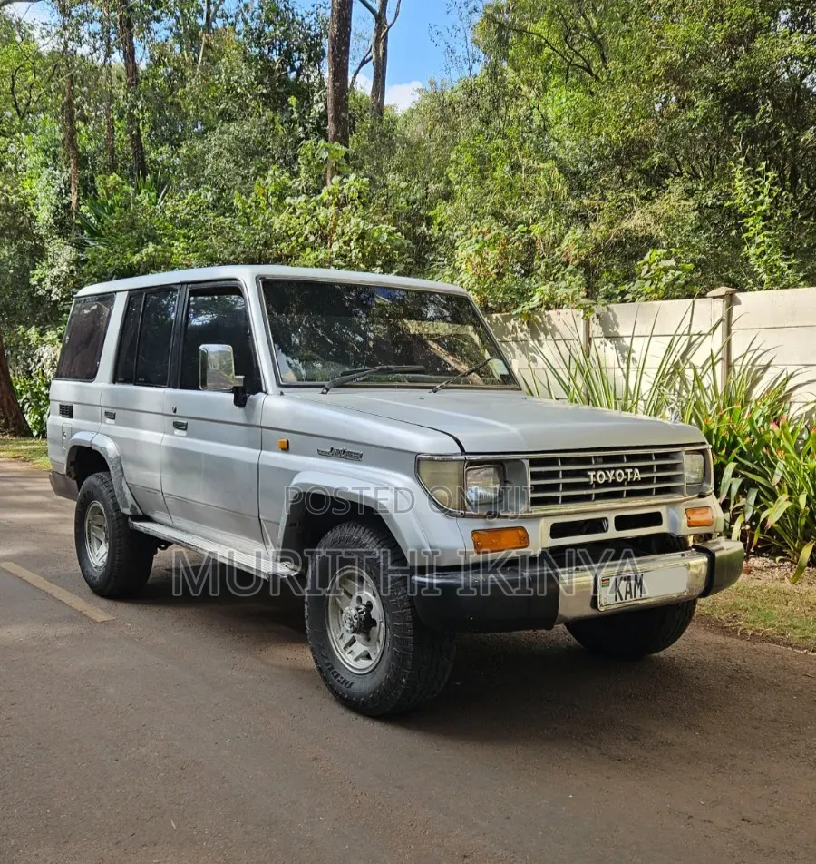 Toyota Land Cruiser 1993 Silver