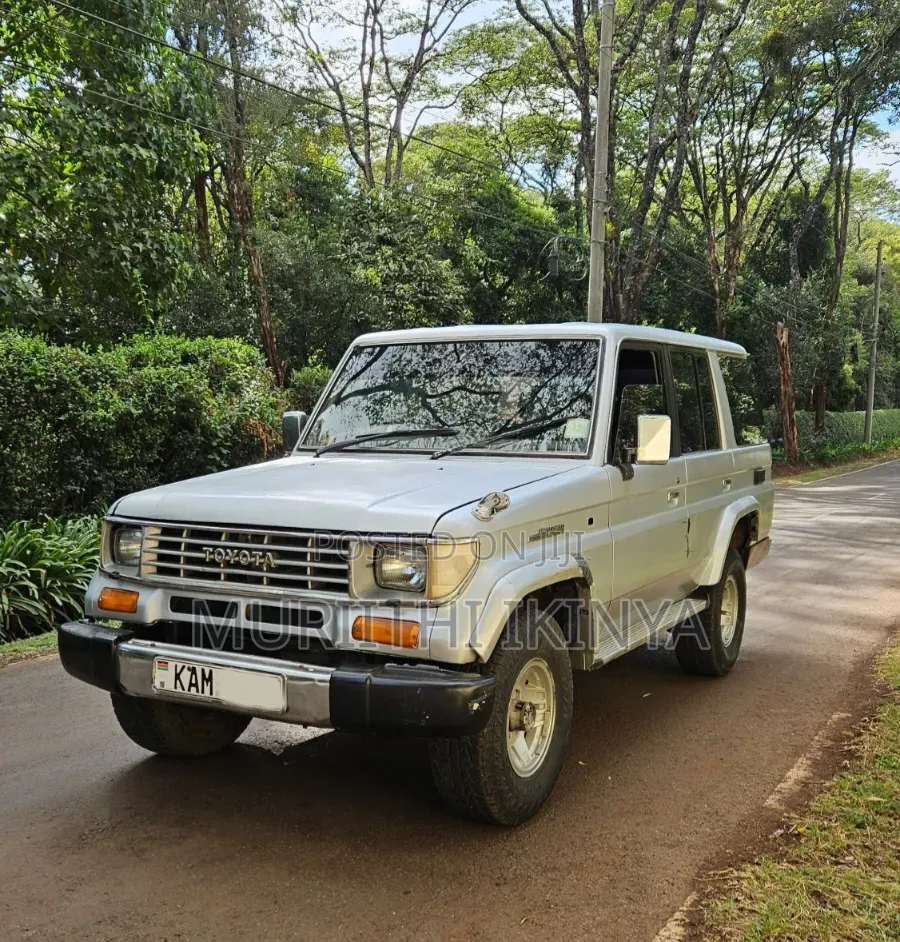 Toyota Land Cruiser 1993 Silver