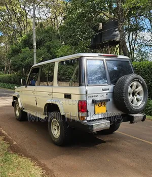 Toyota Land Cruiser 1993 Silver