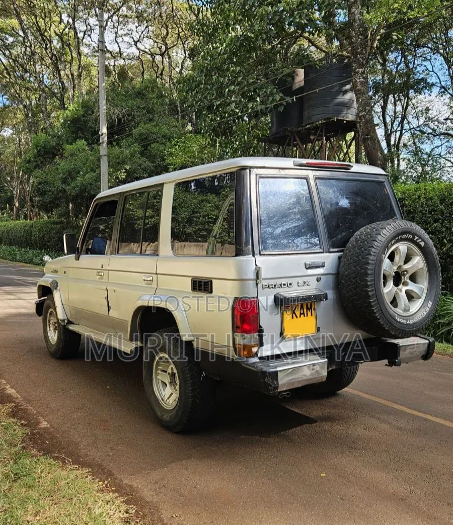 Toyota Land Cruiser 1993 Silver