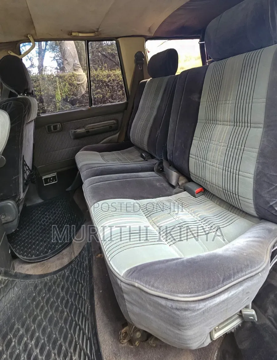 Toyota Land Cruiser 1993 Silver